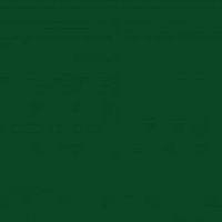 Термопленка флекс Chemica firstmark forest green( темно зеленый )