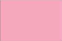 Термопленка флекс Witpac Premium - 1061 baby pink ( нежно-розовый )