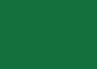 ����������� Siser Brick Green BK0009 ( ����: �������, ������� ������� �����, ������� 1000 ������ )