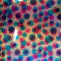 ����������� ��������������� Siser Holographic Multi ( ������� ��������������� �������� � ������ ������� ����� ������ )