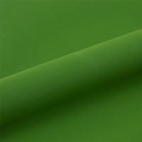 Термопленка Siser Easy Puff Apple Green EP0058 ( Сисер пуфф яблочно зеленый EP0058 )