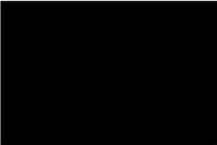 Термопленка флекс Witpac Premium - 1002 black ( черный )