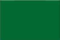 Термопленка флекс Witpac Premium - 1004 green ( зеленый )