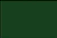 Термопленка флекс Witpac Premium - 1007 forest green ( зеленый лес )