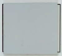 Термопленка флекс Witpac Premium - 1011 light grey ( светло-серый )