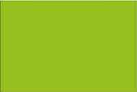 Термопленка флекс Witpac Premium - 1067 apple green ( зеленое яблоко )
