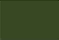 Термопленка флекс Witpac Premium - 1069 military green ( военный зеленый )